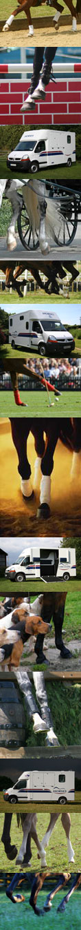 ECS Horse Transport - We provide both horsebox hire and horse transportation tailor-made to suit your needs.